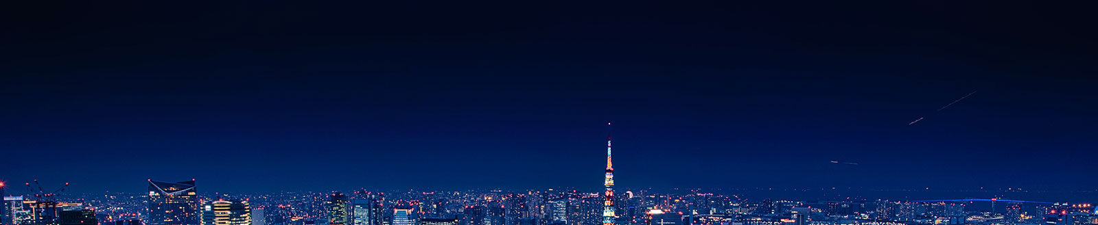 Tokyo Night Skyline